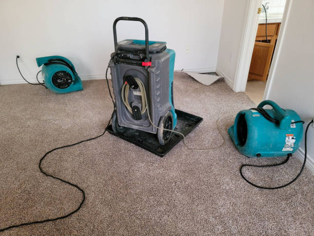 Best Carpet water damage restoration  in Princeton, MN