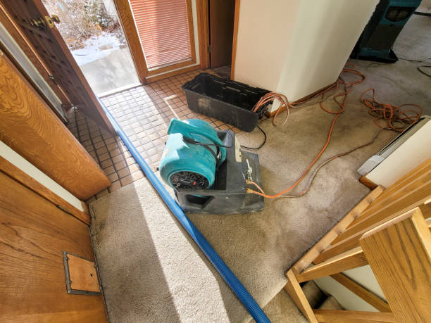 Best Water damage restoration insurance claims  in Princeton, MN