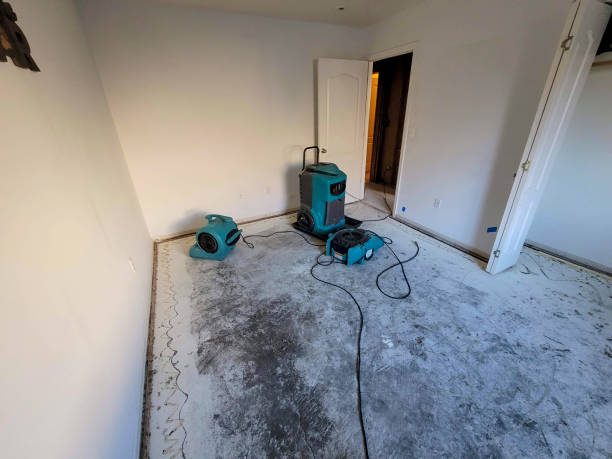 Princeton, MN Water damage restoration Company