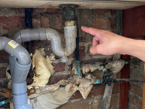 Best Water damage restoration near me  in Princeton, MN