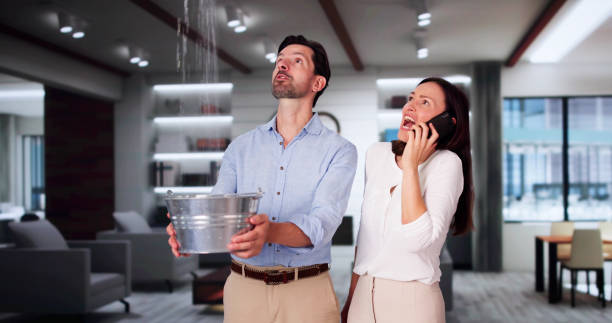 Best Professional water damage repair  in Princeton, MN